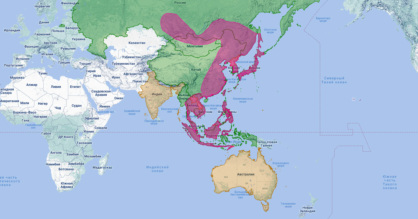 Японский перепелятник (Accipiter gularis) Ареал обитания на карте
