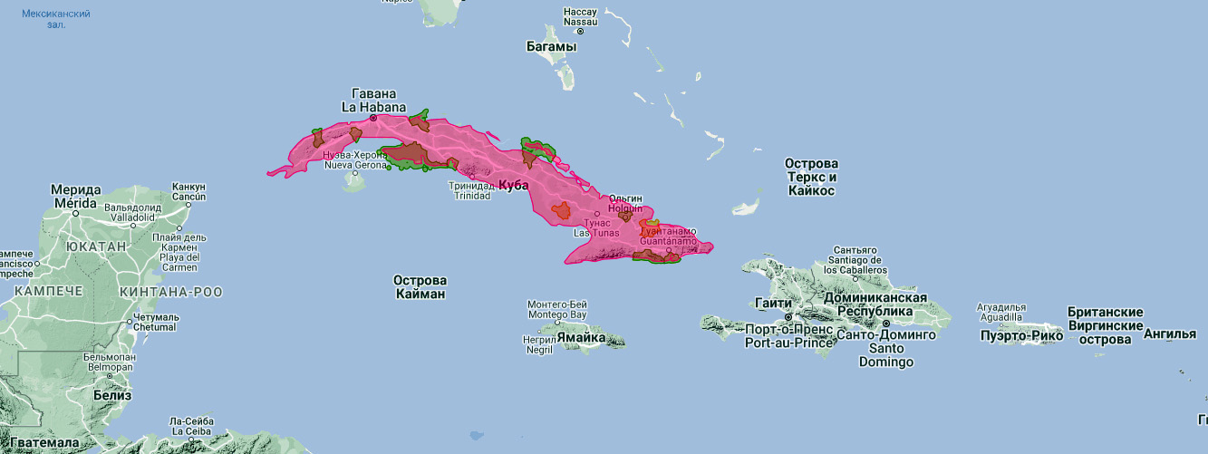 Кубинский ястреб (Accipiter gundlachi) Ареал обитания на карте