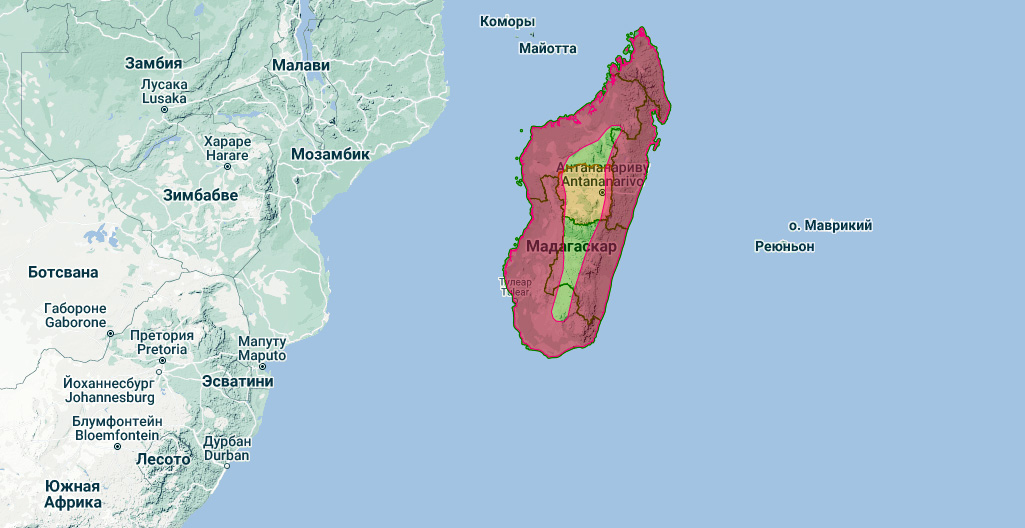 Мадагаскарский перепелятник (Accipiter madagascariensis) Ареал обитания на карте