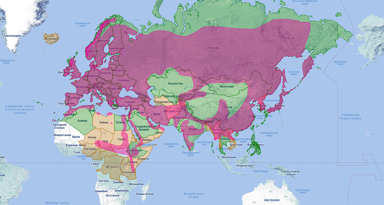 Ястреб-перепелятник (Accipiter nisus) Ареал обитания на карте