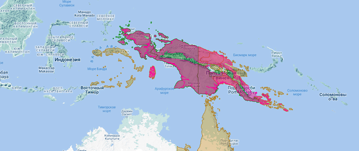 Новогвинейский пепельноголовый тетеревятник (Accipiter poliocephalus) Ареал обитания на карте