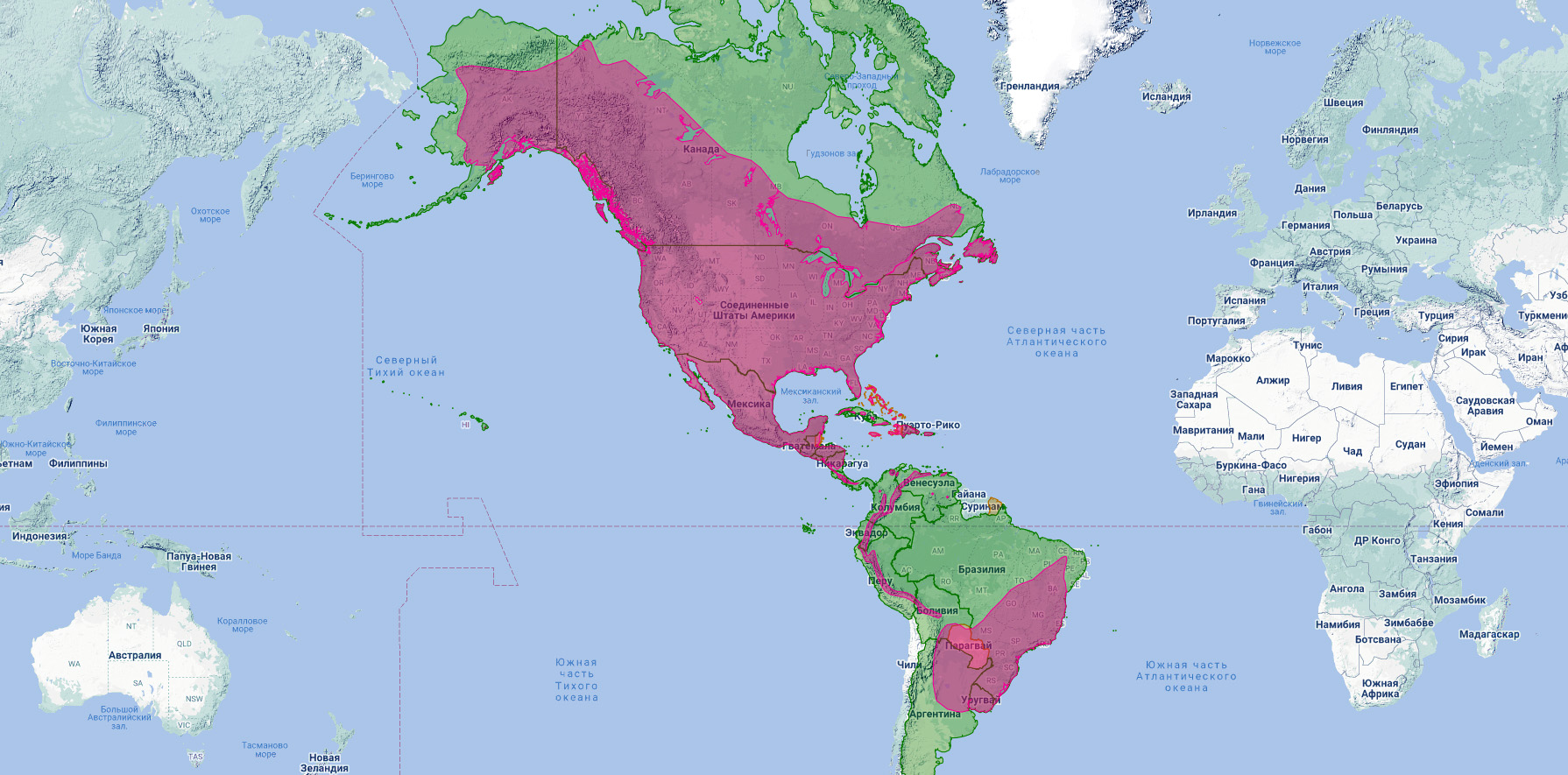 Полосатый ястреб (Accipiter striatus) Ареал обитания на карте