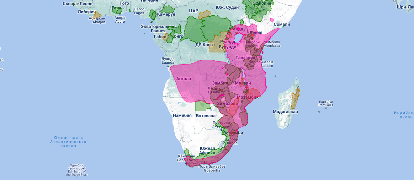 Африканский тетеревятник (Accipiter tachiro) Ареал обитания на карте