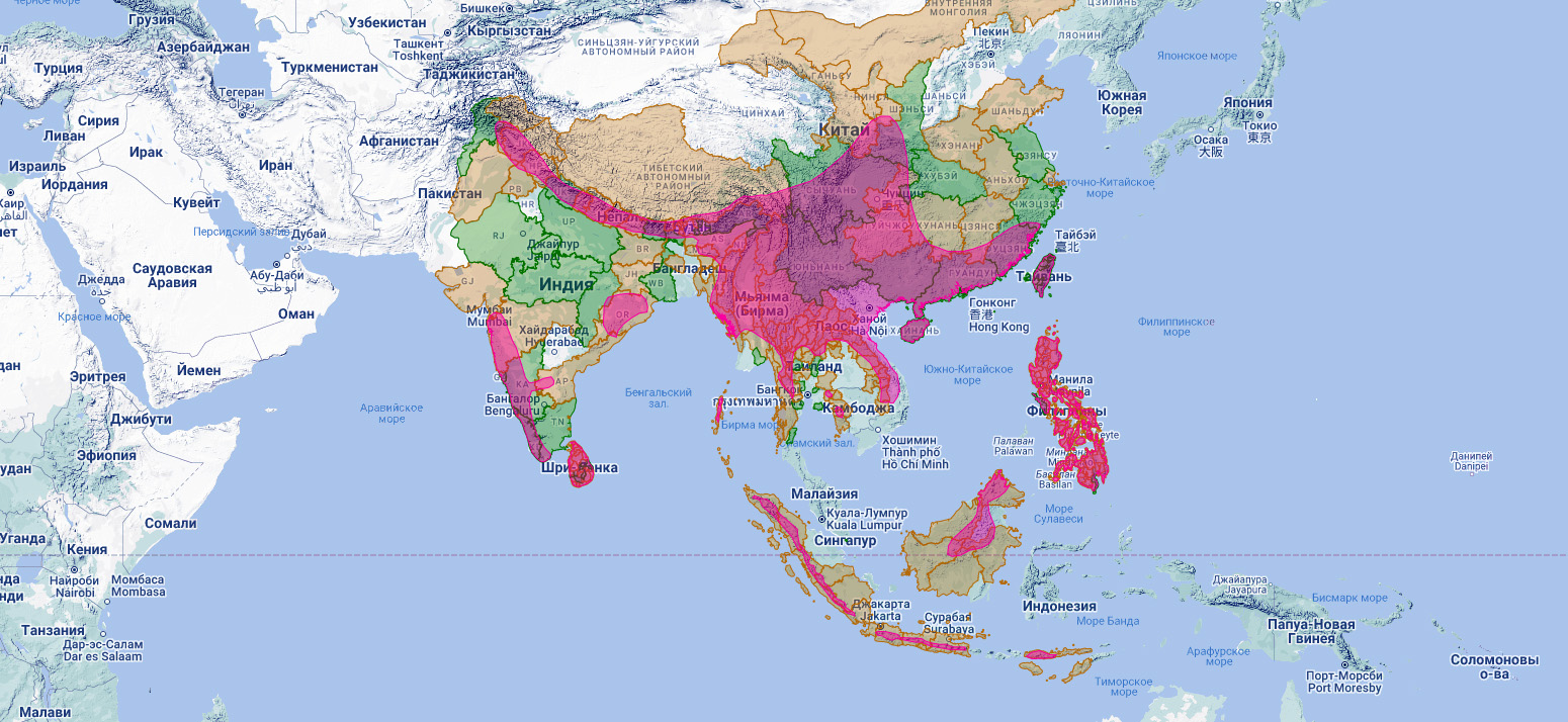Индийский перепелятник (Accipiter virgatus) Ареал обитания на карте