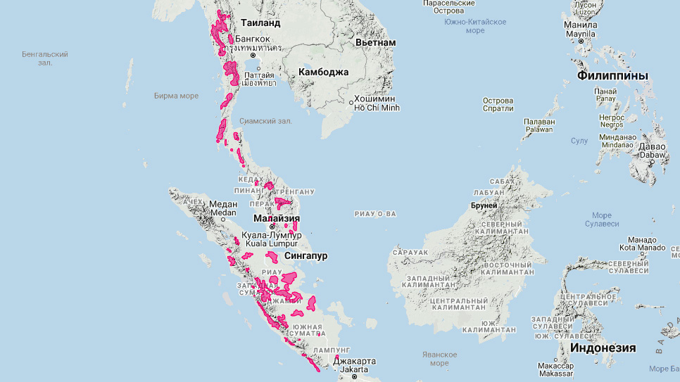Чепрачный тапир (Acrocodia indica) Ареал обитания на карте
