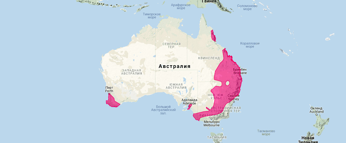 Желтоногая сумчатая мышь (Antechinus flavipes) Ареал обитания на карте