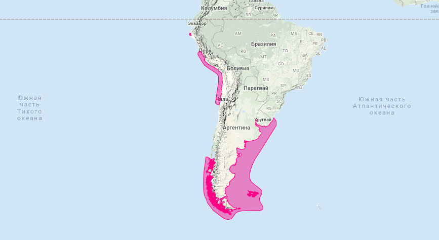 Южноамериканский морской котик (Arctocephalus australis) Ареал обитания на карте