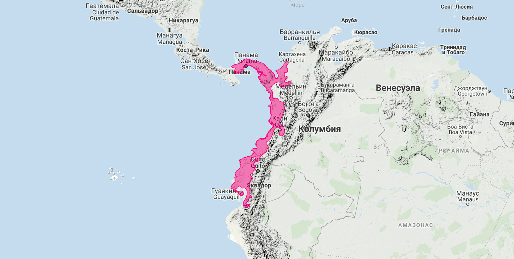 Западный низинный олинго (Bassaricyon medius) Ареал обитания на карте
