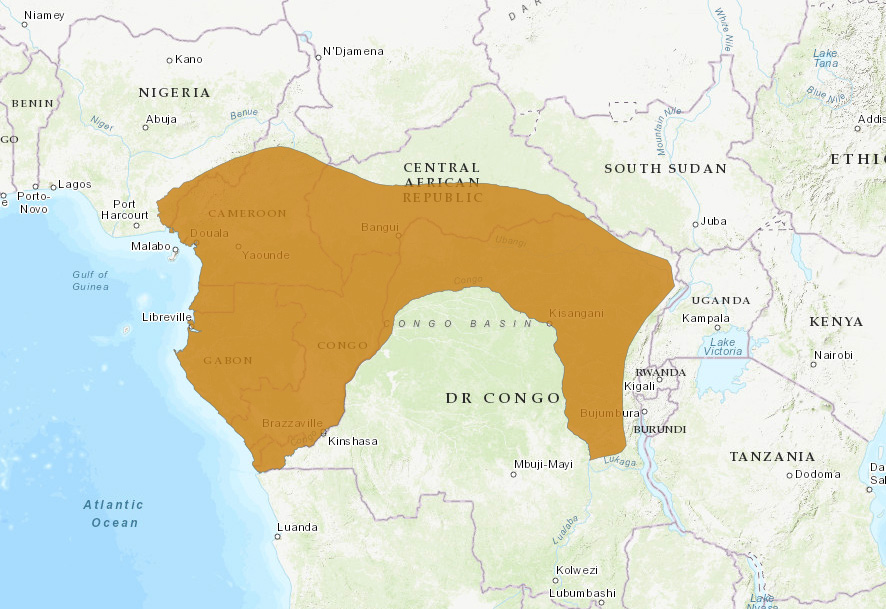 Черноногий мангуст (Bdeogale nigripes) Ареал обитания на карте