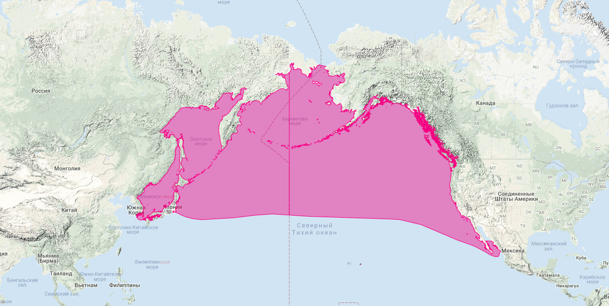 Северный плавун (Berardius bairdii) Ареал обитания на карте