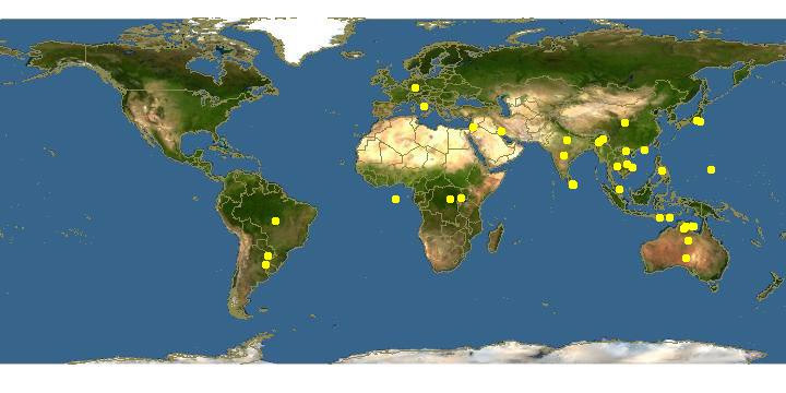 Bubalus bubalis Ареал обитания на карте