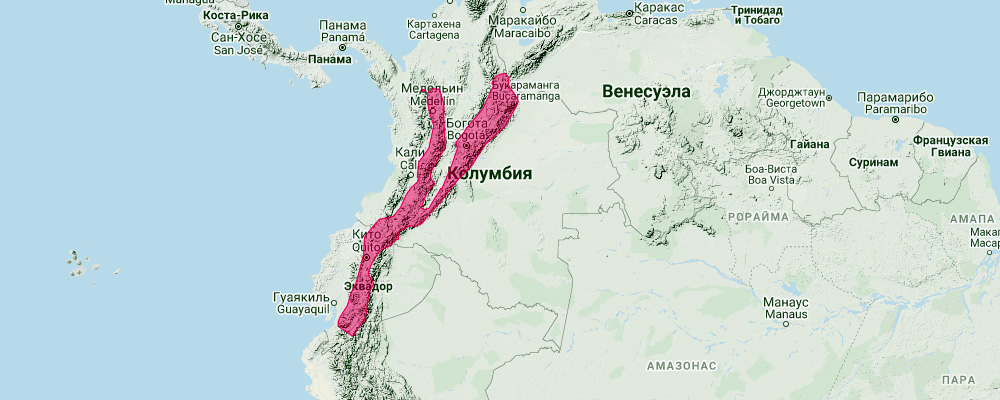 Эквадорский ценолест (Caenolestes fuliginosus) Ареал обитания на карте