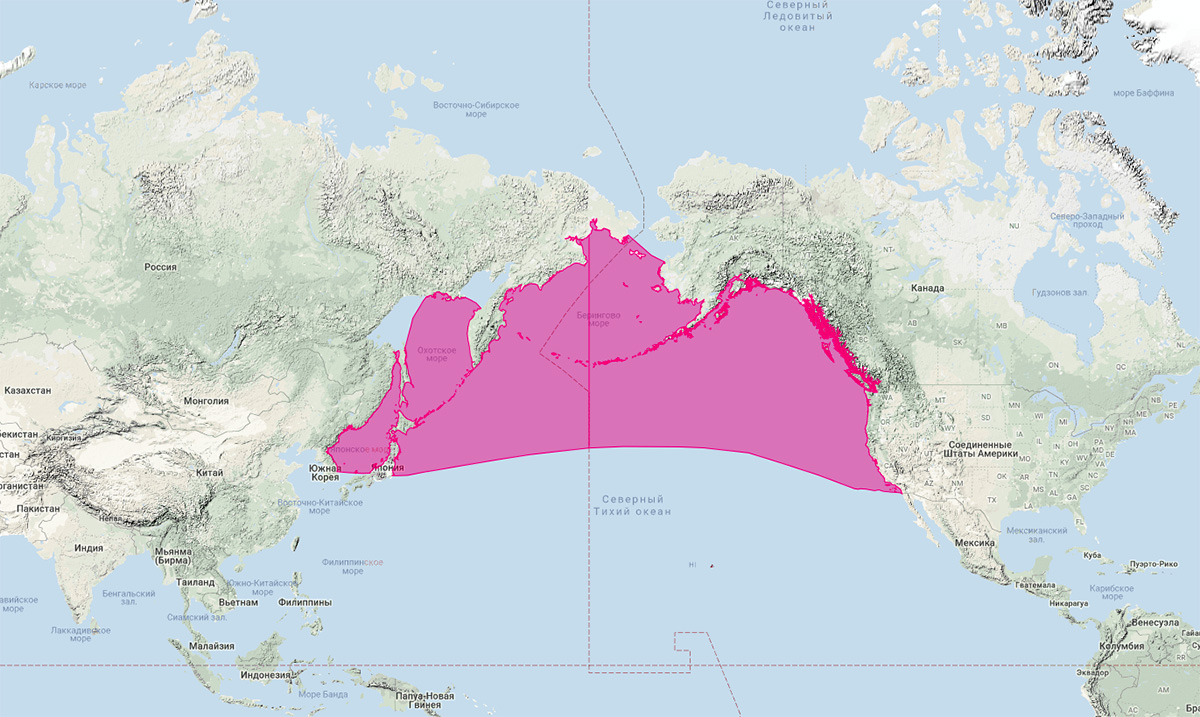 Северный морской котик (Callorhinus ursinus) Ареал обитания на карте