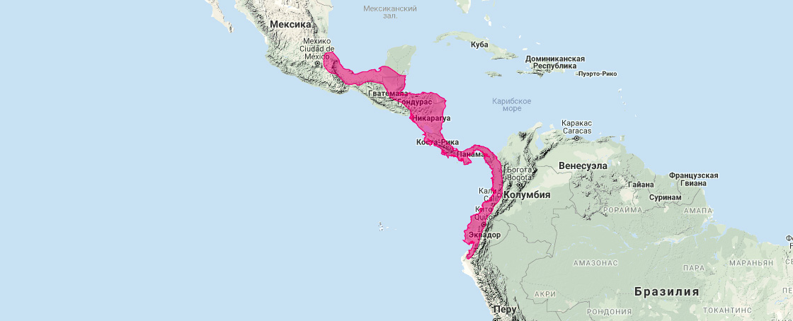 Центральноамериканский пушистый опоссум (Caluromys derbianus) Ареал обитания на карте
