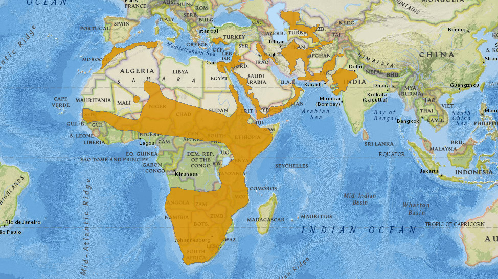 Caracal caracal Ареал обитания на карте