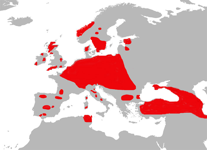 Cervus elaphus Ареал обитания на карте