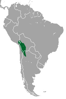 Чилийский броненосец (Chaetophractus nationi) Ареал обитания на карте