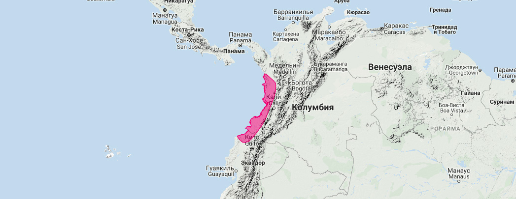 Большой длиннонос (Choeroniscus periosus) Ареал обитания на карте