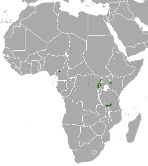 Chrysochloris stuhlmanni Ареал обитания на карте