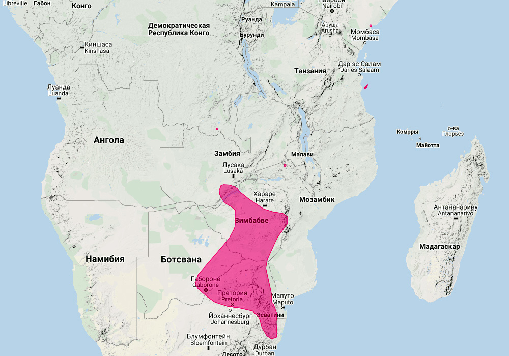 Африканский трезубценос (Cloeotis percivali) Ареал обитания на карте