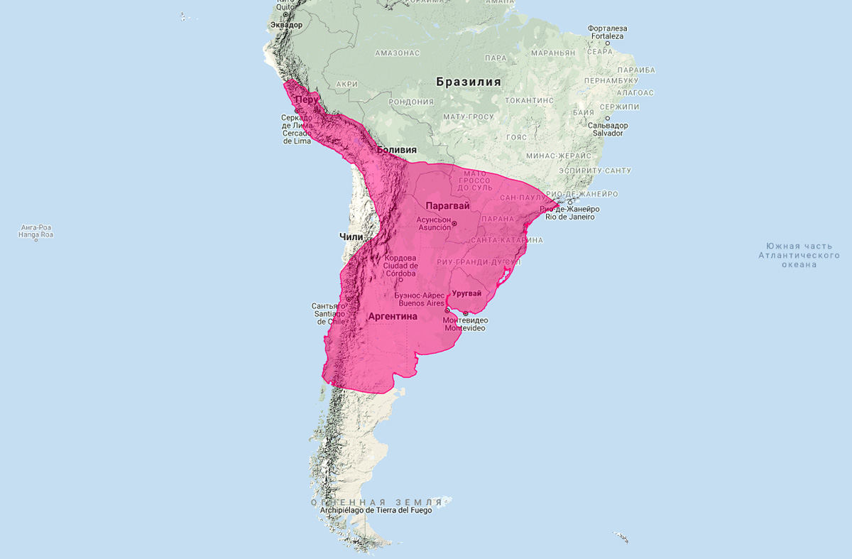 Южноамериканский скунс (Conepatus chinga) Ареал обитания на карте