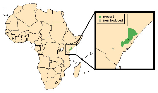 Damaliscus hunteri Ареал обитания на карте