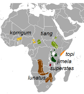 Damaliscus lunatus Ареал обитания на карте