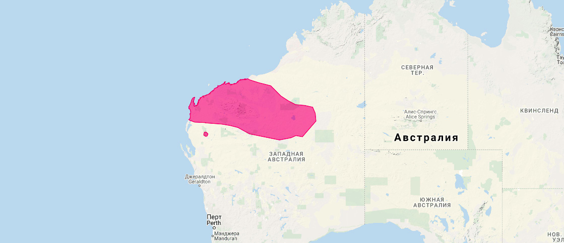 Западноавстралийская сумчатая мышь (Dasykaluta rosamondae) Ареал обитания на карте
