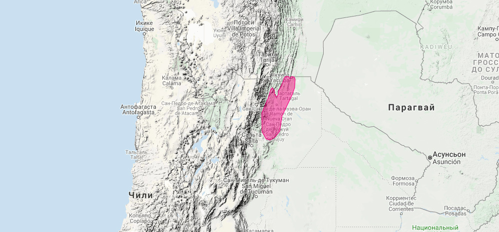Аргентинский броненосец (Dasypus mazzai) Ареал обитания на карте