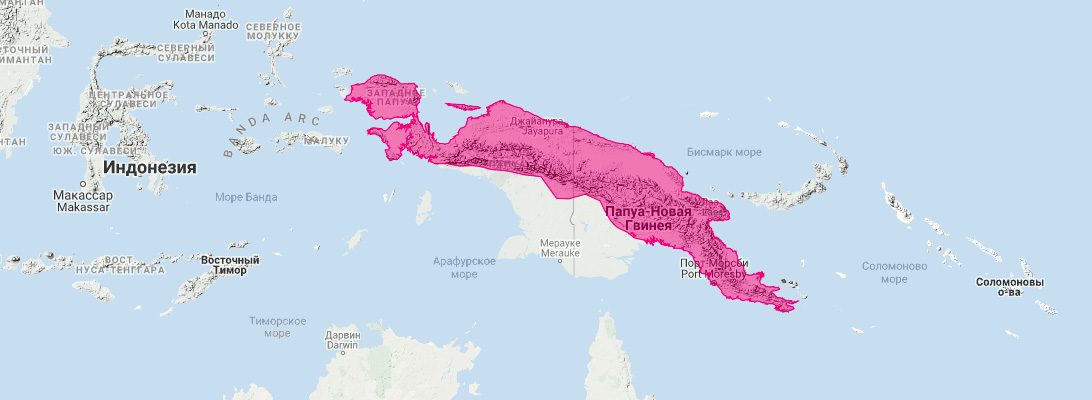 Новогвинейская сумчатая куница (Dasyurus albopunctatus) Ареал обитания на карте