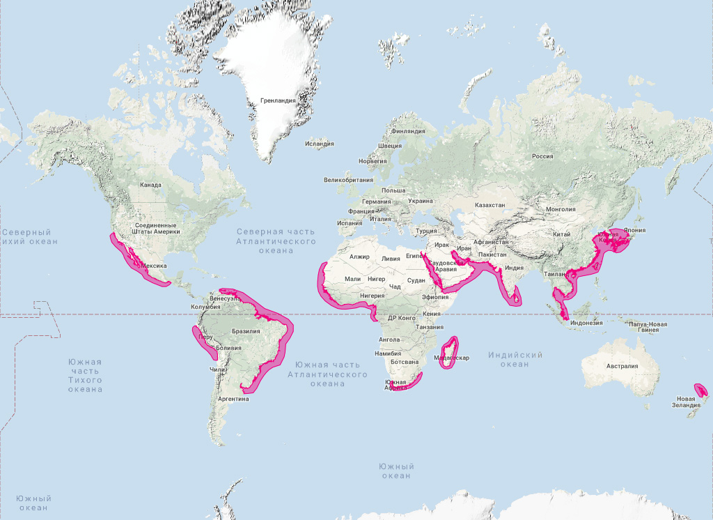 Длиннорылая белобочка (Delphinus capensis) Ареал обитания на карте