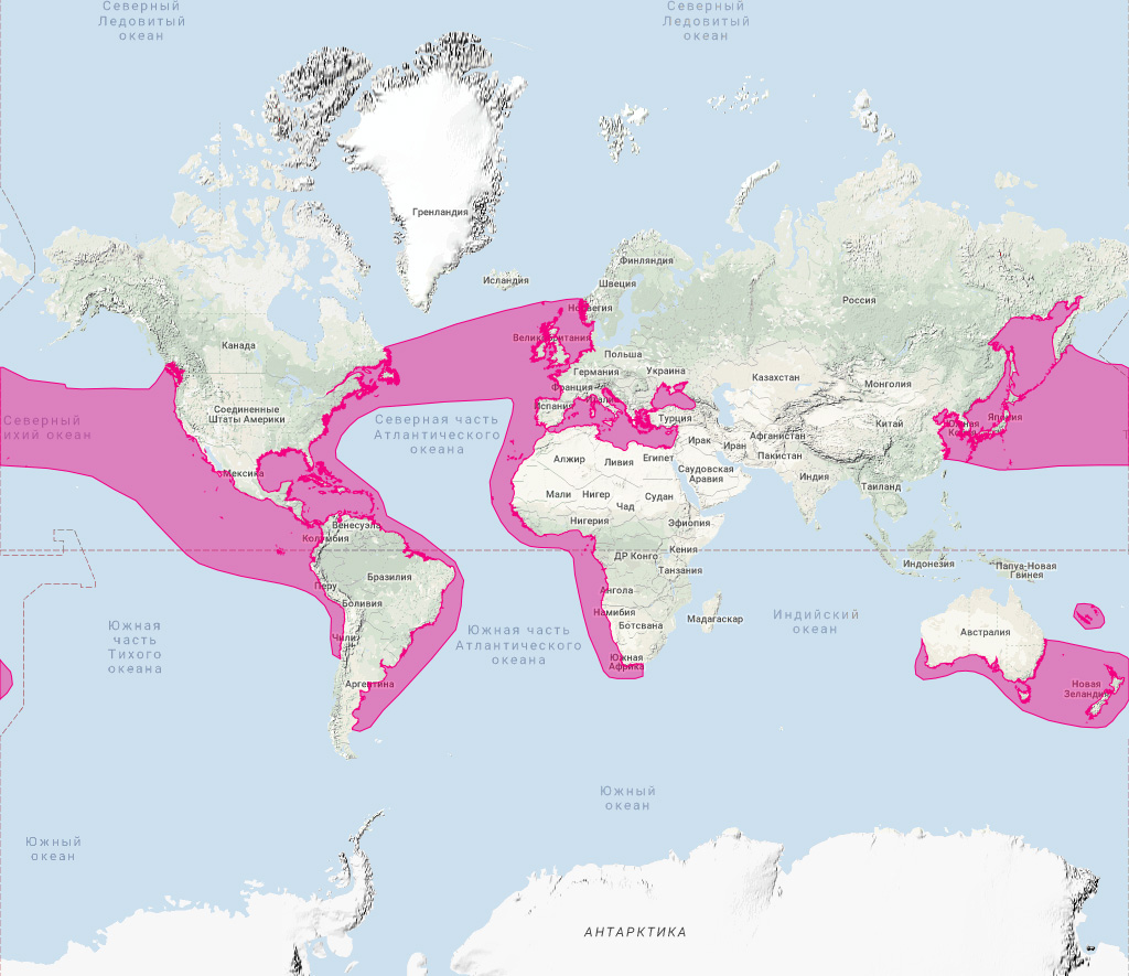 Дельфин-белобочка (Delphinus delphis) Ареал обитания на карте