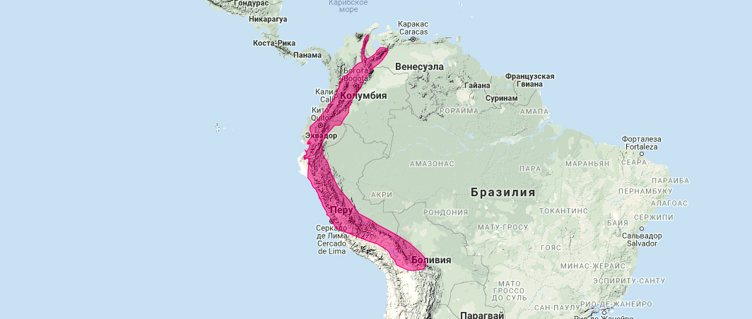 Андский белоухий опоссум (Didelphis pernigra) Ареал обитания на карте