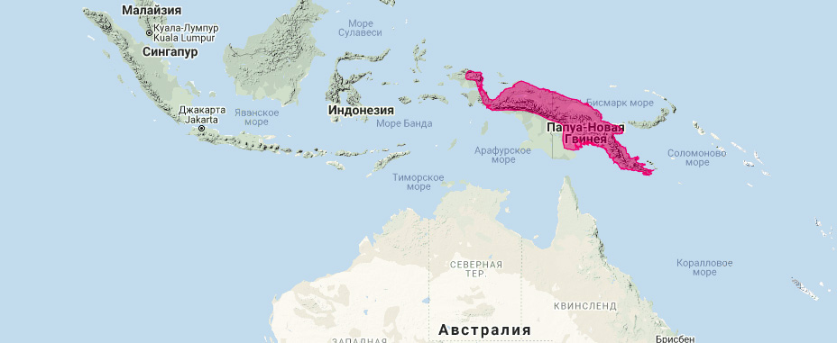Перьехвостый кускус (Distoechurus pennatus) Ареал обитания на карте
