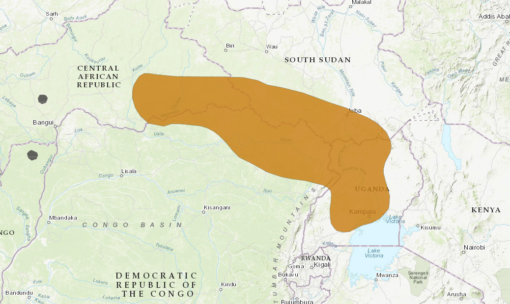 Мангуст Дыбовского (Dologale dybowskii) Ареал обитания на карте