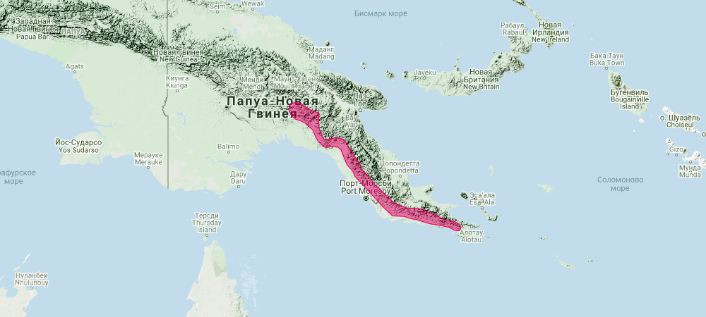 Кенгуру Маклея (Dorcopsulus macleayi) Ареал обитания на карте