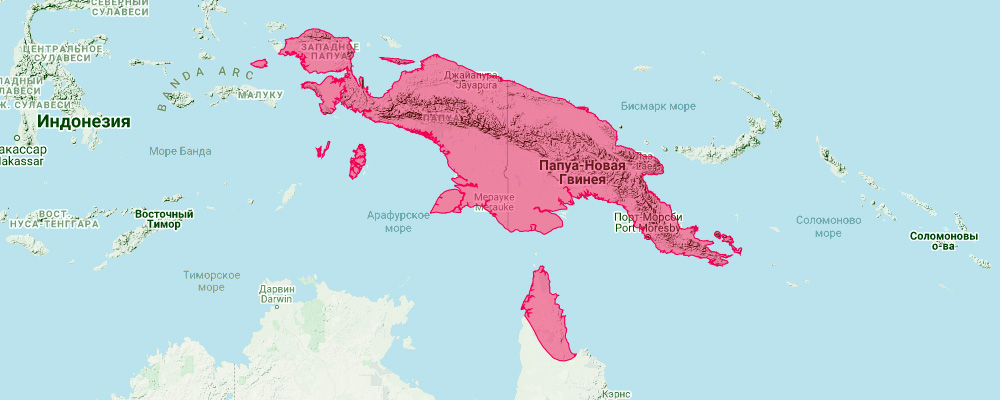 Толстоголовый бандикут (Echymipera rufescens) Ареал обитания на карте