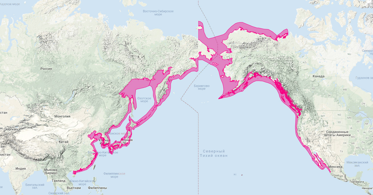 Серый кит (Eschrichtius robustus) Ареал обитания на карте