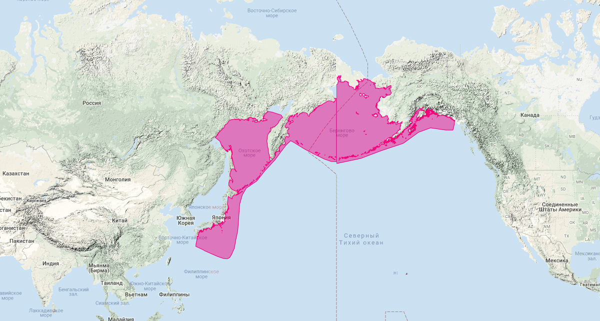 Японский кит (Eubalaena japonica) Ареал обитания на карте