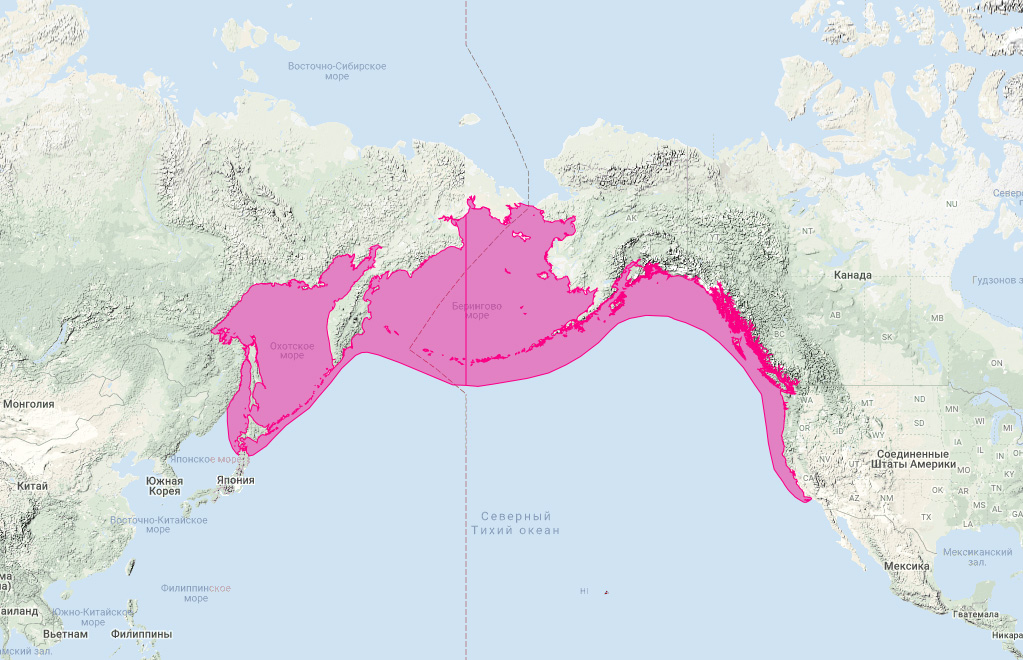 Сивуч (Eumetopias jubatus) Ареал обитания на карте