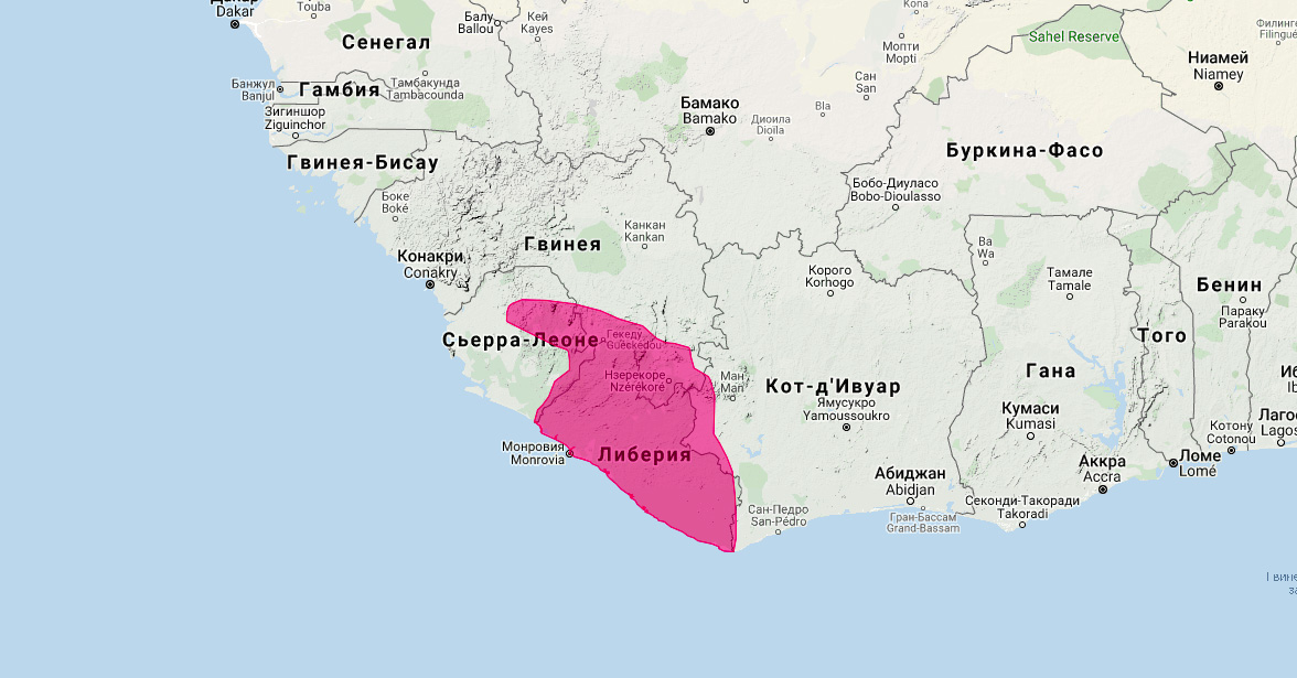 Генетта Берлони (Genetta bourloni) Ареал обитания на карте