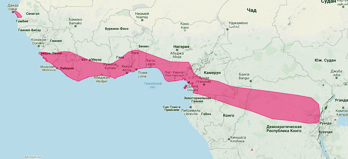 Нигерийский выростогуб (Glauconycteris poensis) Ареал обитания на карте