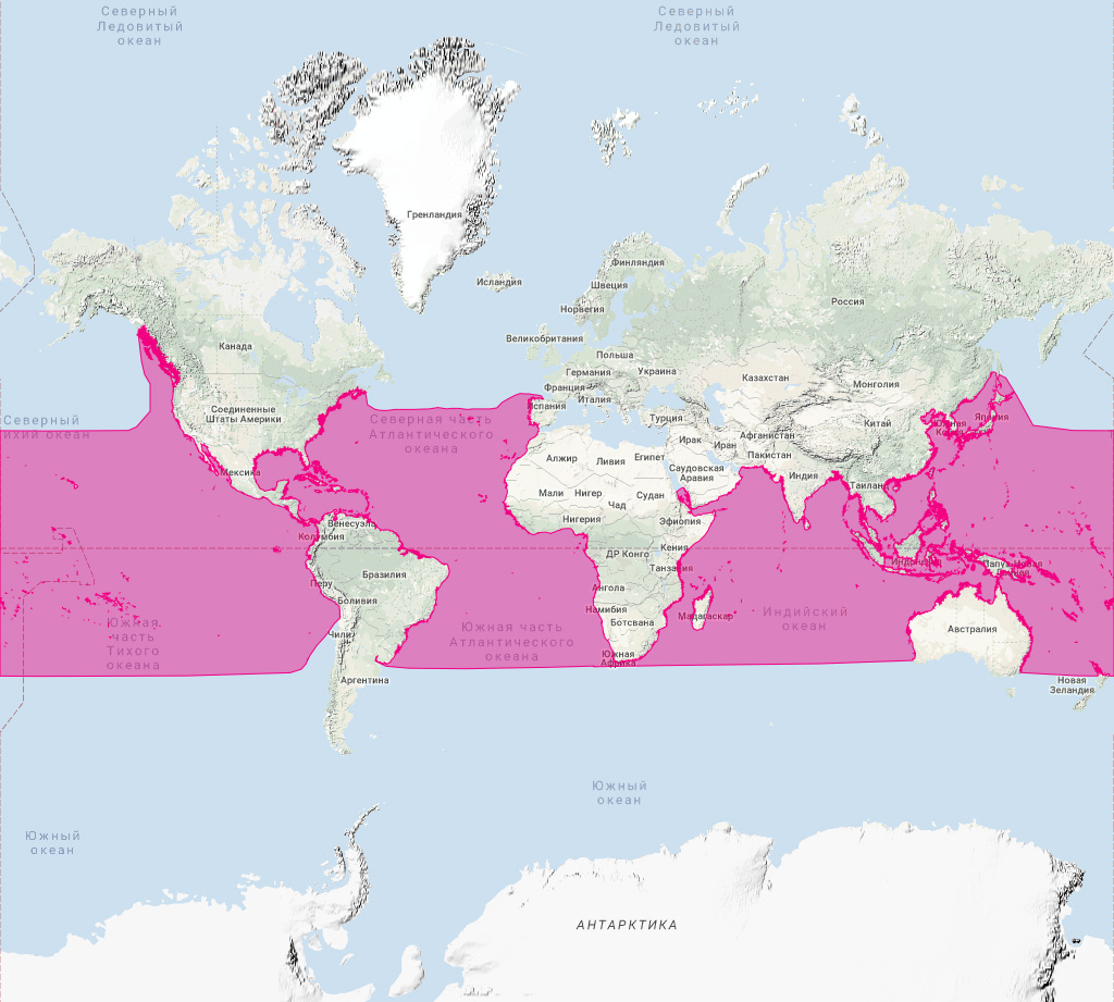 Тропическая гринда (Globicephala macrorhynchus) Ареал обитания на карте