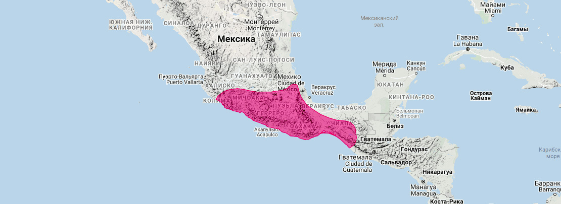 Мексиканский длинноязыкий листонос (Glossophaga morenoi) Ареал обитания на карте