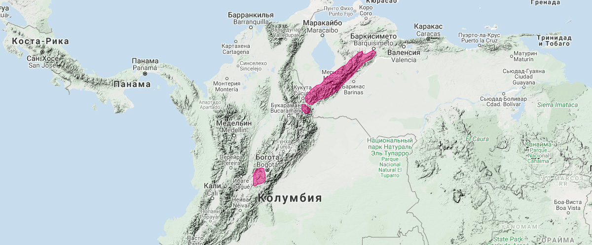 Опоссум-дриада (Gracilinanus dryas) Ареал обитания на карте