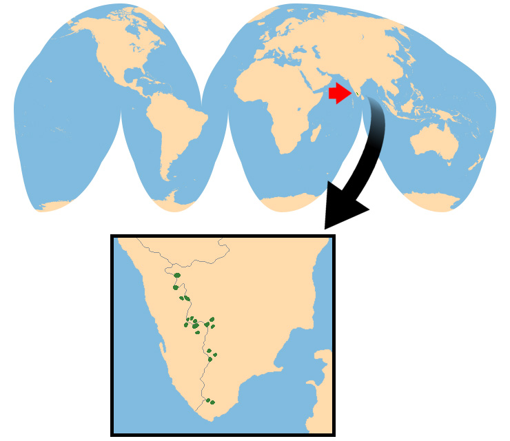Hemitragus hylocrius Ареал обитания на карте
