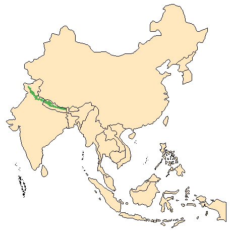 Hemitragus jemlahicus Ареал обитания на карте