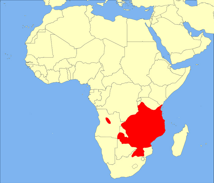 Hippotragus niger Ареал обитания на карте