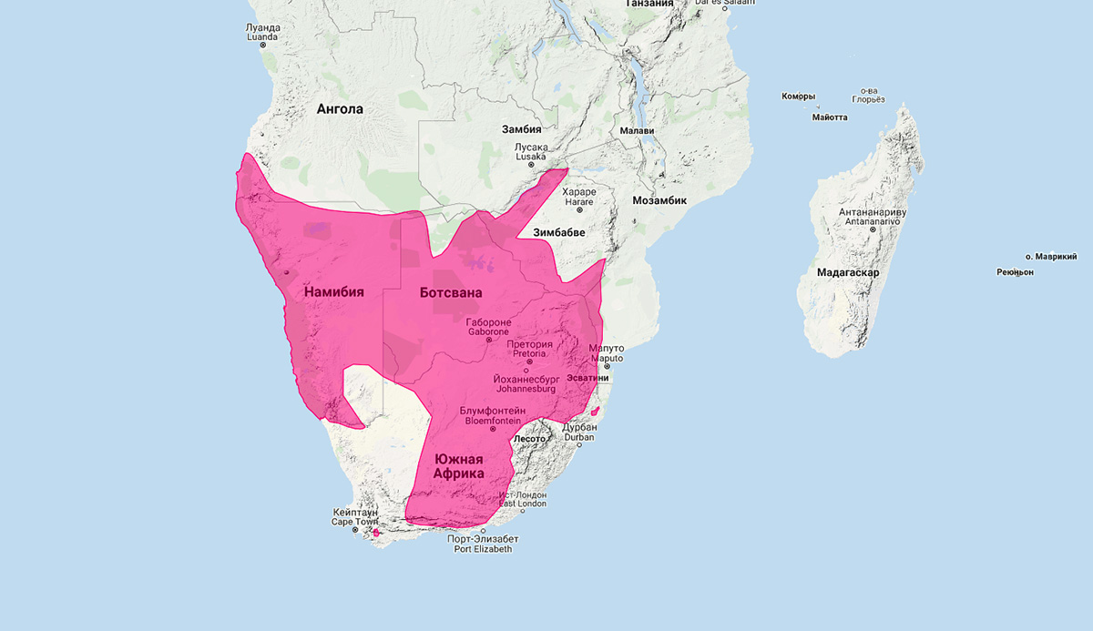 Бурая гиена (Hyaena brunnea) Ареал обитания на карте