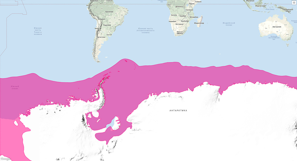 Морской леопард (Hydrurga leptonyx) Ареал обитания на карте